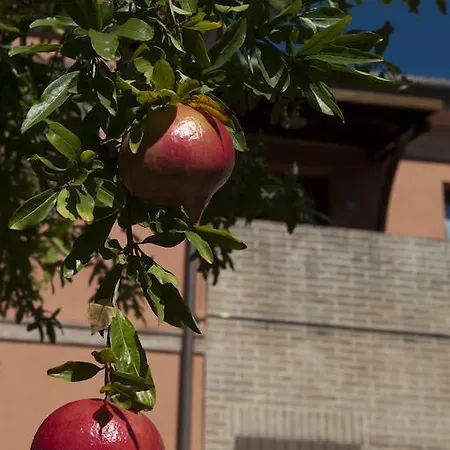 Bed & Breakfast L'erbaiuola