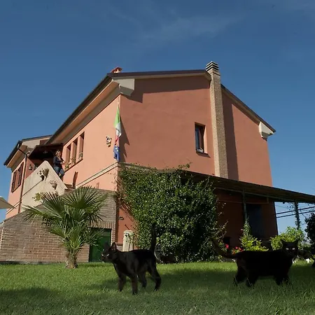 Bed & Breakfast L'erbaiuola *